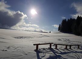 Apartment in Bernau Black Forest With Valley View