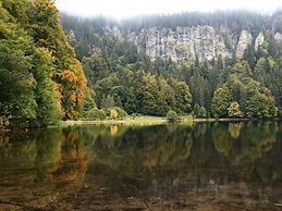 Apartment in Bernau Black Forest With Valley View