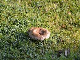 Holiday Home in Peaceful Setting and Large Garden