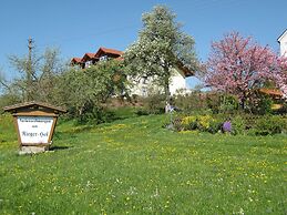 Beautiful Apartment in Rotthalmunster With Garden