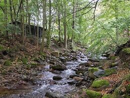 Flat in Ilsenburger Harz Near the ski Area
