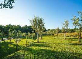 Apartment in Ieper With Terrace