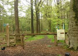 Apartment in Ieper With Terrace