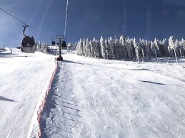 Lovely Apartment in Schwarzenbach With Sauna