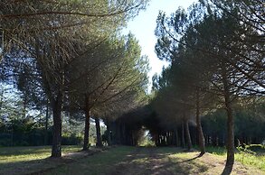 Agriturismo Le Case di San Vivaldo