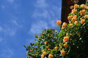 Agriturismo Le Case di San Vivaldo