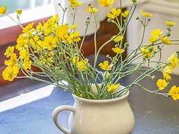 Cozy Chalet in Trois Ponts near Forest