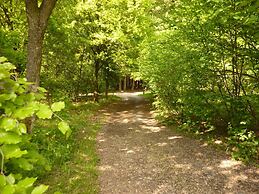 Cozy Chalet in Trois Ponts near Forest