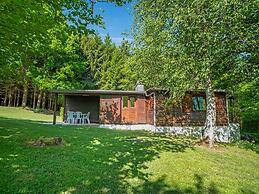Cozy Chalet in Trois Ponts near Forest