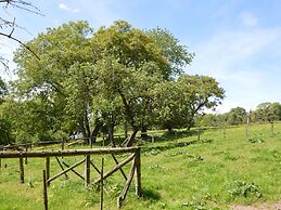 Delightful Holiday Home With Meadow View