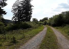 Apartment in Assinghausen With a sun Terrace