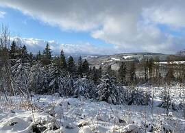 Flat in Medebach Near the ski Area