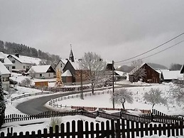 Flat in Medebach Near the ski Area