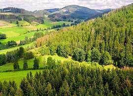 Flat in Medebach Near the ski Area