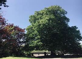 Cottage La Maison au Ruisseau in Belgium