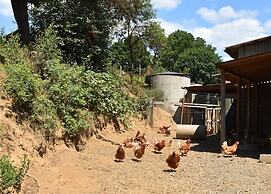 Farm Situated Next to the Kellerwaldnational Park