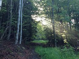 Spacious Holiday Home in Wienrode near Braunlage Ski Area