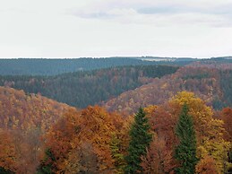 Fantastic Apartment in Frauenwald near Forest