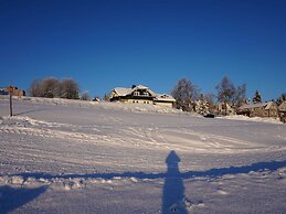 Fantastic Apartment in Frauenwald near Forest