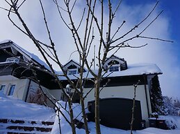 Fantastic Apartment in Frauenwald near Forest