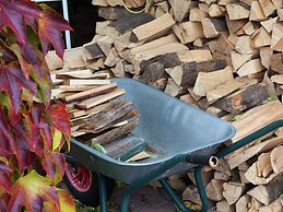 Fantastic Apartment in Frauenwald near Forest