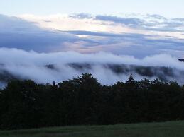 Fantastic Apartment in Frauenwald near Forest