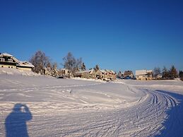 Fantastic Apartment in Frauenwald near Forest