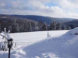 Fantastic Apartment in Frauenwald near Forest