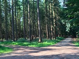 Olsdorf Forestview Apartment