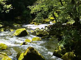 Olsdorf Forestview Apartment