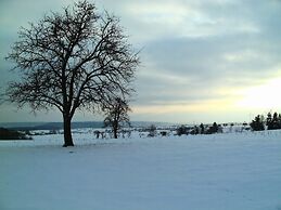 Olsdorf Forestview Apartment