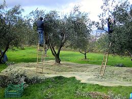 Cozy Cottage in Abbateggio With Garden