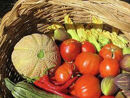 Cozy Cottage in Abbateggio With Garden