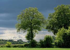 Apartment in Eibergen Near Zwillbrocker Venn
