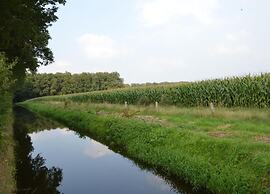 Apartment in Eibergen Near Zwillbrocker Venn