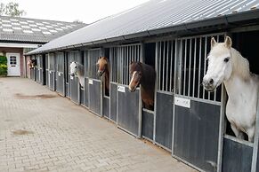 Apartment in Eibergen Near Zwillbrocker Venn