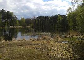 Apartment in Eibergen Near Zwillbrocker Venn