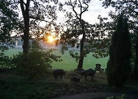 Apartment in Eibergen Near Zwillbrocker Venn