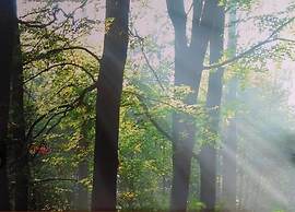 Apartment in Eibergen Near Zwillbrocker Venn