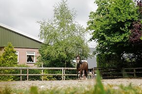 Apartment in Eibergen Near Zwillbrocker Venn