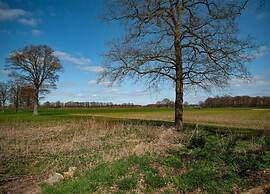 Apartment in Eibergen Near Zwillbrocker Venn