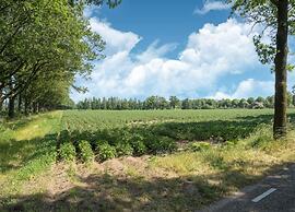 Apartment in Eibergen Near Zwillbrocker Venn