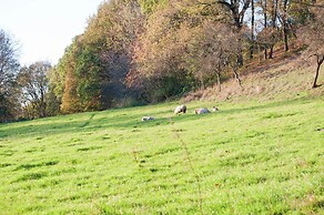 Superb Holiday Home in Weissenburg near Forest