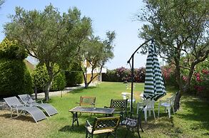 Studios Petra