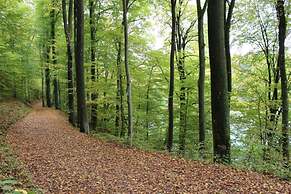 Apartment in Immerath Near Hiking Trails