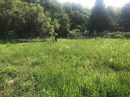 Apartment in Immerath Near Hiking Trails