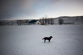 Miðhvammur Farm Stay