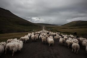 Miðhvammur Farm Stay