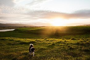 Miðhvammur Farm Stay