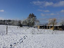 Modern Villa in Rochefort Close to the Horses